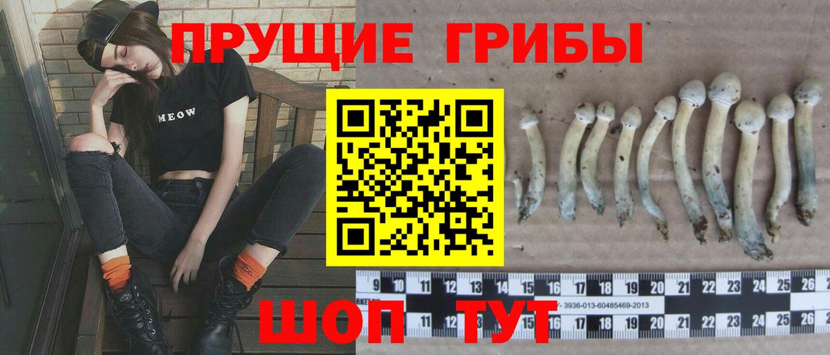 Галлюциногенные грибы Psilocybine cubensis  Галлюциногенные грибы Magic Shrooms  Вход с VPN  Кстово 