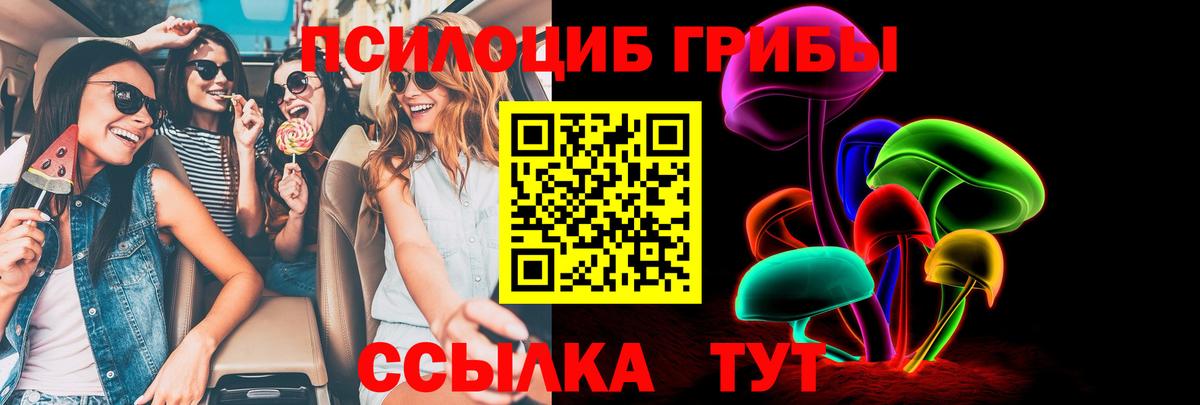 Псилоцибиновые грибы ЛСД Кстово